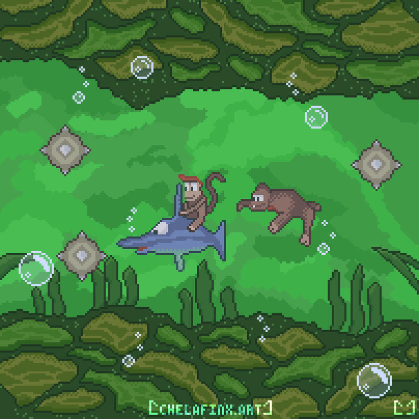 Donkey Kong Country Poison Pond